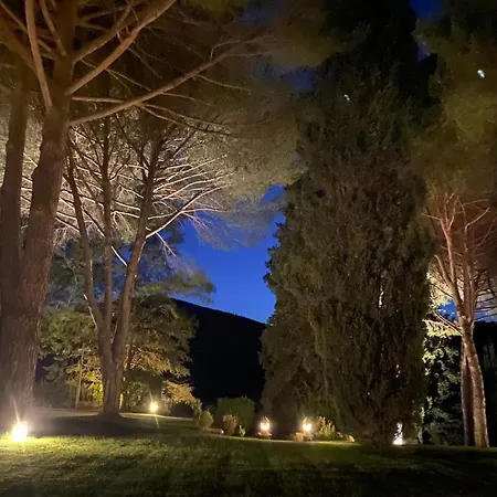 Ghiaccio Bosco Capalbio