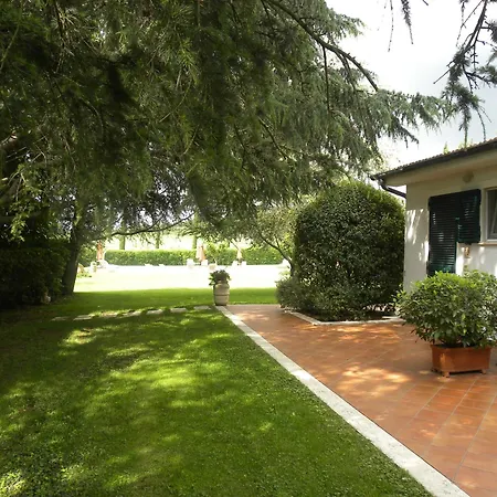 Ghiaccio Bosco Capalbio