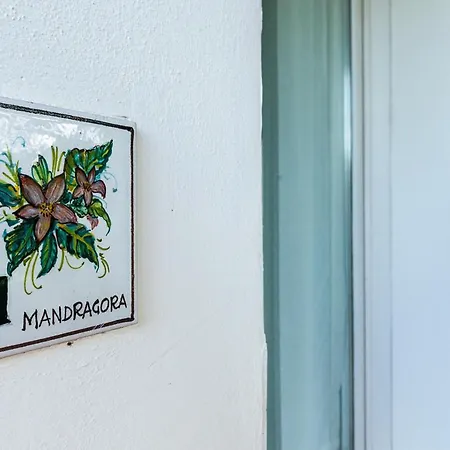 Ghiaccio Bosco Capalbio